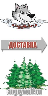 Платье для фигурного катания